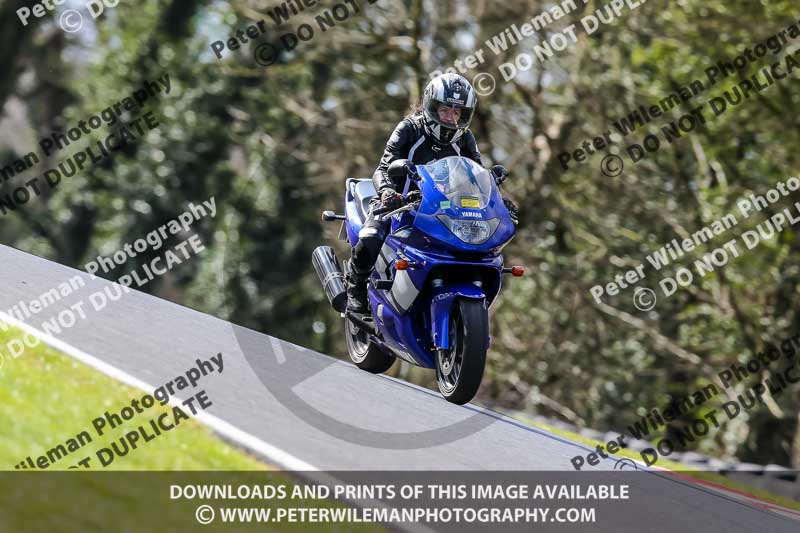 Oulton Park 20th March 2020;PJ Motorsport Photography 2020;anglesey;brands hatch;cadwell park;croft;donington park;enduro digital images;event digital images;eventdigitalimages;mallory;no limits;oulton park;peter wileman photography;racing digital images;silverstone;snetterton;trackday digital images;trackday photos;vmcc banbury run;welsh 2 day enduro